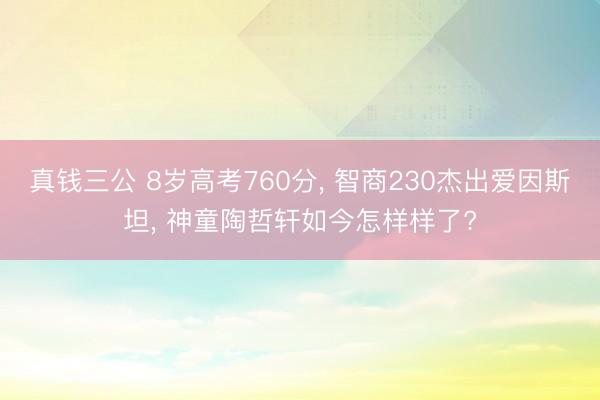 真钱三公 8岁高考760分， 智商230杰出爱因斯坦， 神童陶哲轩如今怎样样了?
