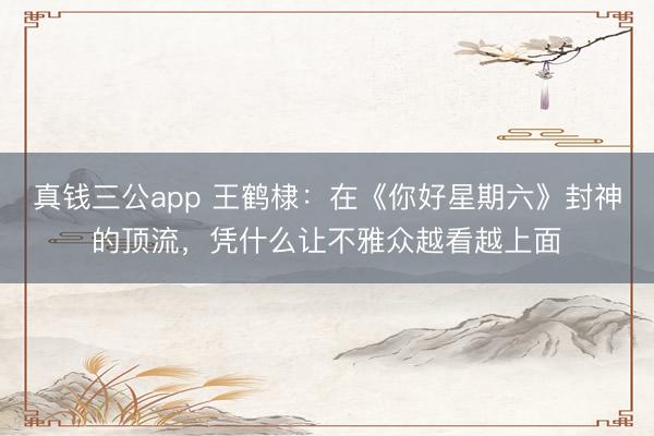 真钱三公app 王鹤棣：在《你好星期六》封神的顶流，凭什么让不雅众越看越上面