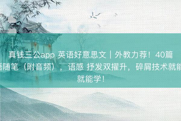 真钱三公app 英语好意思文｜外教力荐！40篇双语随笔（附音频），语感 抒发双擢升，碎屑技术就能学！