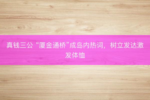 真钱三公 “厦金通桥”成岛内热词，树立发达激发体恤