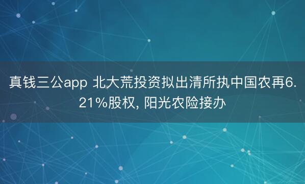 真钱三公app 北大荒投资拟出清所执中国农再6.21%股权, 阳光农险接办