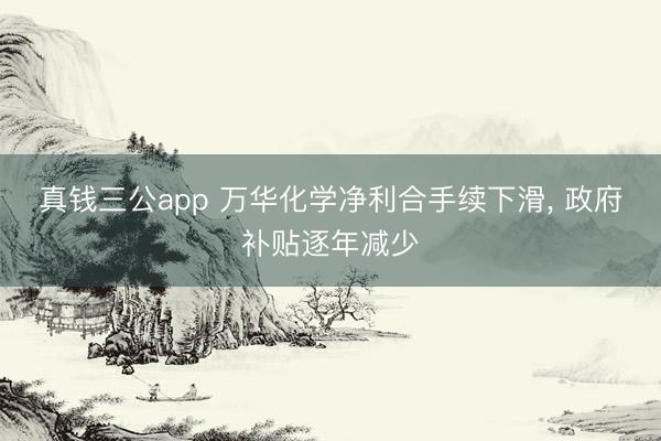 真钱三公app 万华化学净利合手续下滑, 政府补贴逐年减少