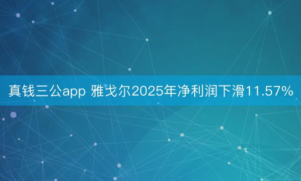 真钱三公app 雅戈尔2025年净利润下滑11.57%
