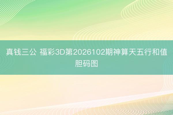 真钱三公 福彩3D第2026102期神算天五行和值胆码图